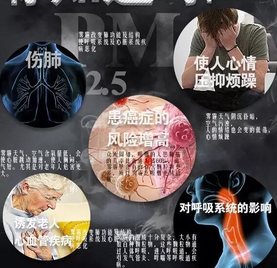 霧霾產生的疾病—香蕉黄色电影
